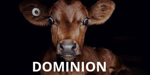 Dominion, vegan documentary, vegansk dokumentar, veganisme, vegansk blog