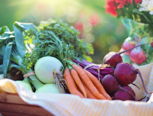 raw food, grøntsager, sund kost, RawChallenge, Vægttab
