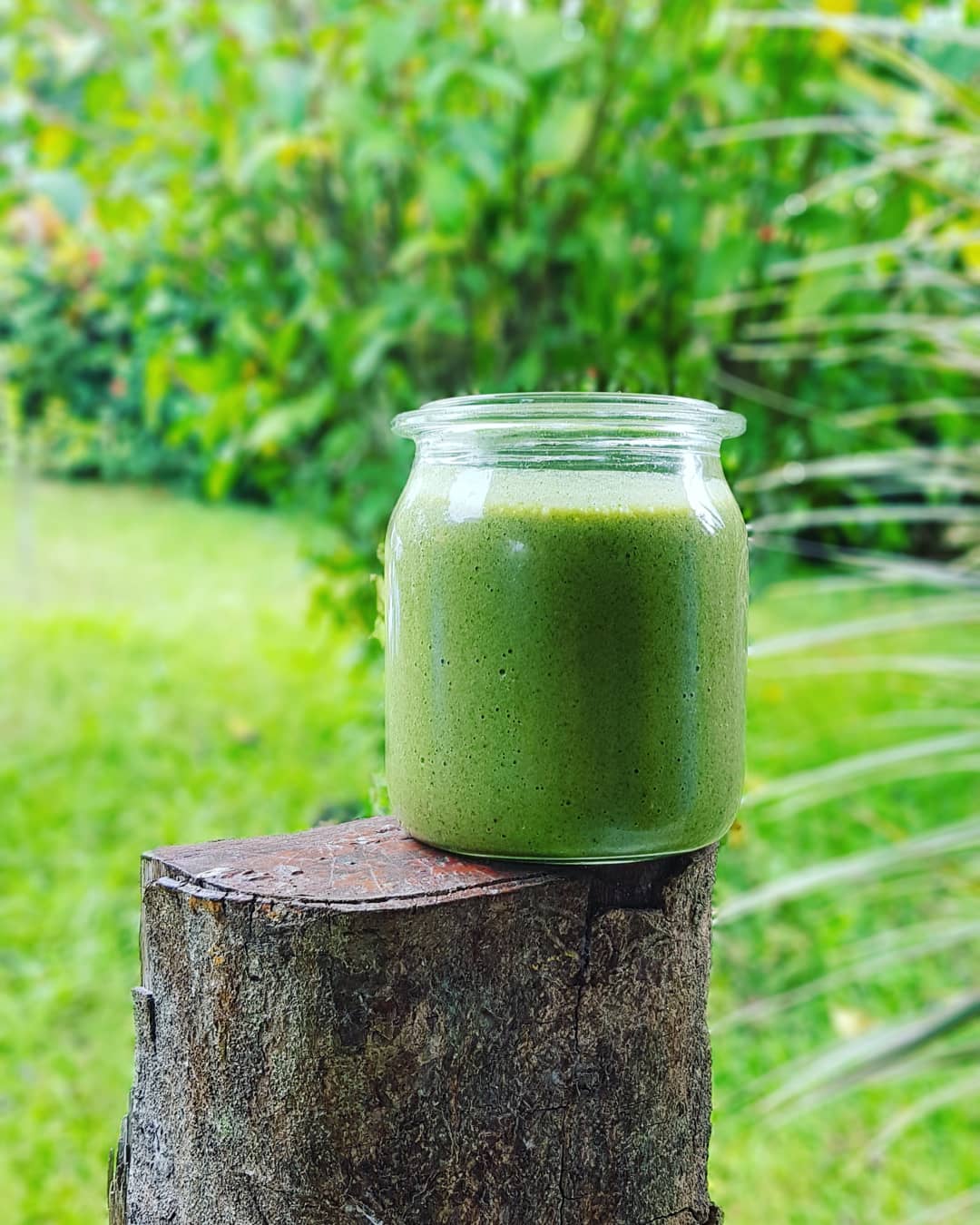 smoothie, koriander, sundhed